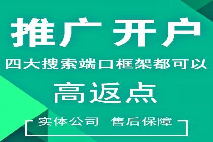 百度广告竞价之成功案例：某行业领军企业的崛起之路